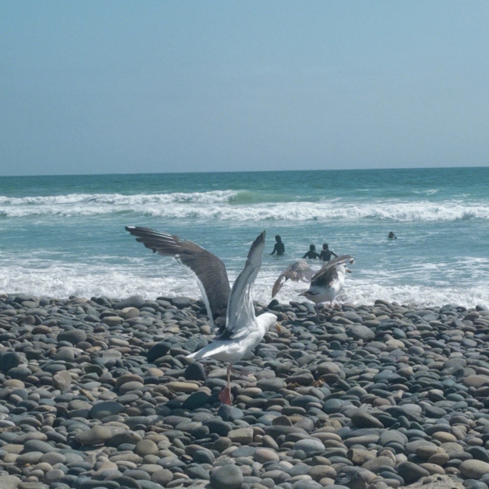 Meet your Posher, Aline